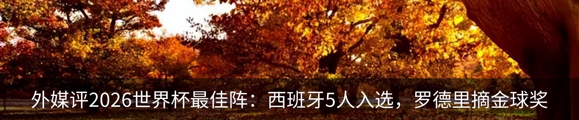 新闻中心