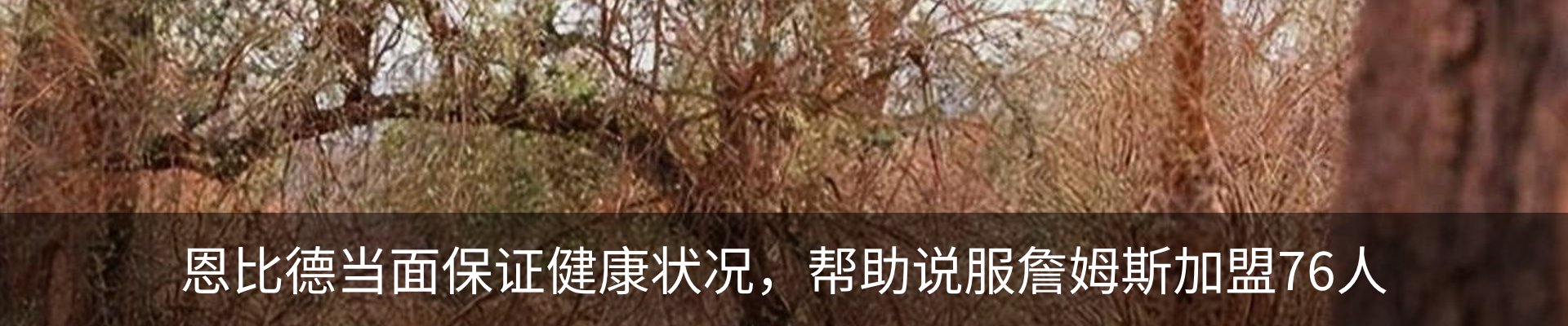 新闻中心