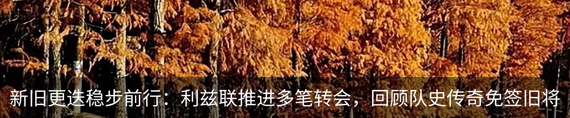 新闻中心