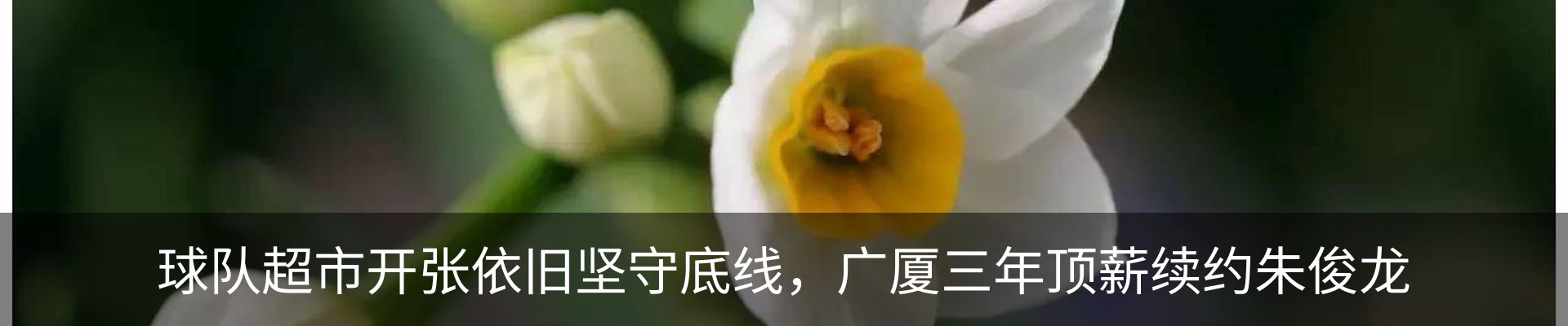新闻中心
