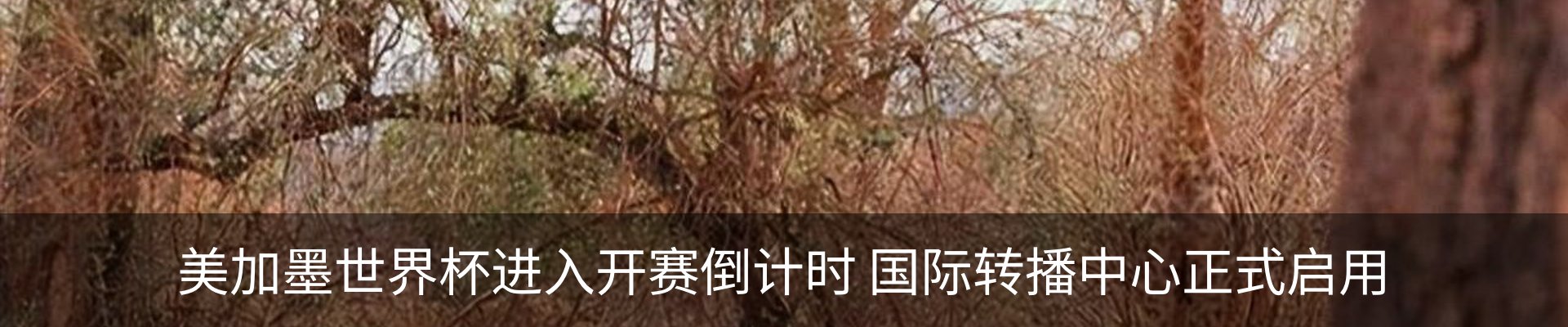新闻中心